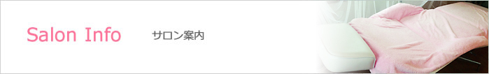 Salon Info